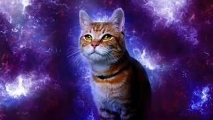 Goose, The Marvels, 2023 Movies, Movies, Cat, 4K wallpaper