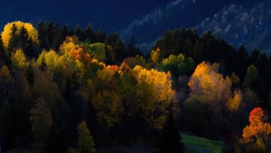Autumn, Nature, 4K wallpaper