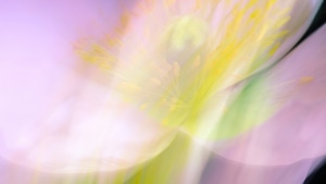 Abstract, Artist, Artwork, Digital Art, 4K wallpaper