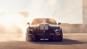 Ford Mustang, Shelby, Ford, Cars, 4K wallpaper