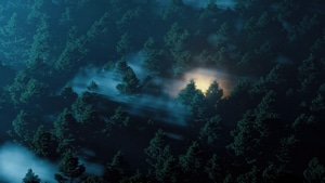 Forest, Nature, Artstation, 4K wallpaper