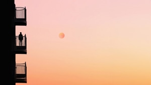 Alone, Silhouette, Sunset, Minimalism, Minimalist, Artist, Artwork, Digital Art, 4K wallpaper