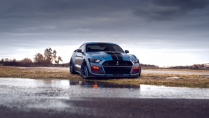 Ford Mustang, Shelby, Cars, Behance, 4K wallpaper