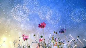 Flowers, Celebrations, Fireworks, Nature, 4K wallpaper