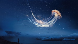 Jellyfish, Artist, Artwork, Digital Art, 4K wallpaper