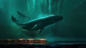 Whale, Artist, Artwork, Digital Art, 4K wallpaper