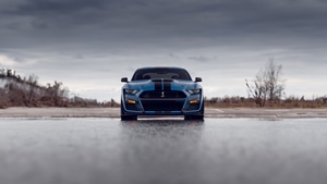 Ford Mustang, Shelby, Cars, Behance, 4K wallpaper