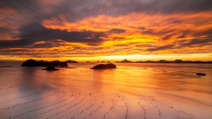 Sunset, Nature, 4K wallpaper