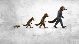 Rocket Raccoon, Guardians Of The Galaxy Vol 3, Guardians Of The Galaxy, 2023 Movies, Movies, 4K wallpaper