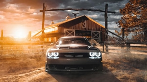 Dodge Challenger Srt Hellcat Widebody, Dodge Challenger, Cars, 4K wallpaper