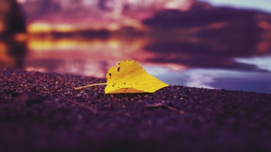 Lake, Autumn, Leaf, Nature, 4K wallpaper