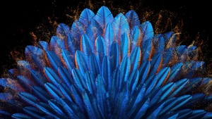 Peacock feathers, Blue aesthetic, Vibrant, Blue abstract, Oppo Find N, Stock, Elegant, Pattern, 4K wallpaper