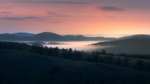Fog, Trees, Landscape, Nature, 4K wallpaper