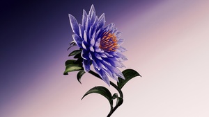 Purple Flower, Artistic, Digital Art, Dark blue, 4K wallpaper