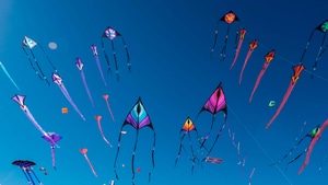 Kites, Photography, Nature, Colorful, Sky, 4K wallpaper