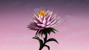 Purple Flower, Bloom, Digital flower, Purple aesthetic, Purple background, 4K wallpaper