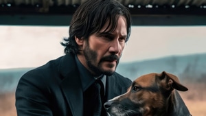 John Wick, Movies, Dogs, Artwork, Artist, 4K wallpaper