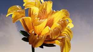 Vibrant, Yellow flower, Macro, AI art, Digital flower, 4K wallpaper