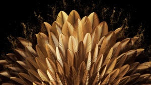 Golden, Peacock feathers, Vibrant, Golden yellow, Oppo Find N, Stock, Elegant, Pattern, Black background, 4K wallpaper