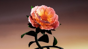 Digital flower, Dew Drops, Droplets, Orange flower, 4K wallpaper