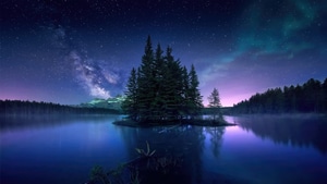 Stars, Reflection, Sky, Nature, Tree, 4K wallpaper