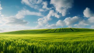 Windows, Windows Xp, Computer, 4K wallpaper