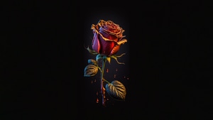Rose, Dark, Black, Artist, Artwork, Digital Art, 4K wallpaper