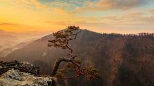 Trees, Mountains, Evening, Nature, 4K wallpaper