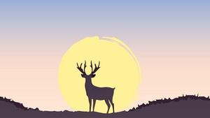 Deer, Minimalism, Minimalist, Sunset, Artist, Artwork, Digital Art, 4K wallpaper