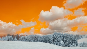 Clouds, Snow, Trees, Winter, Nature, 4K wallpaper