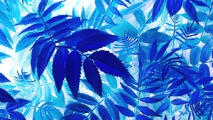Leaves, Nature, 4K wallpaper