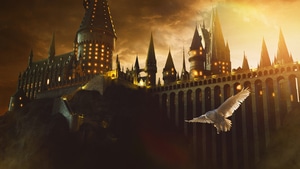 Harry Potter, 2023 Movies, Movies, 4K wallpaper