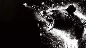 Cocaine Bear, Bear, 2023 Movies, Movies, 4K wallpaper