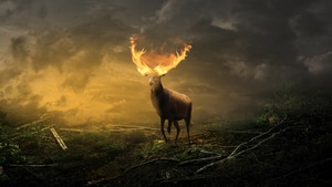Deer, Artist, Artwork, Digital Art, Artstation, 4K wallpaper