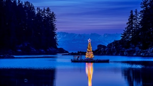 Evening, Landscape, Christmas, Photography, , 4K wallpaper