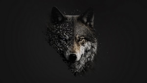 Wolf, Minimalism, Minimalist, Artist, Artwork, Digital Art, Dark, Black, 4K wallpaper
