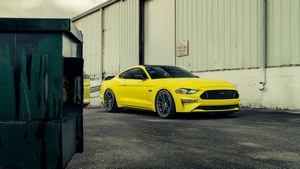 Ford Mustang, Ford, Cars, Muscle Cars, 2023 Cars, 4K wallpaper