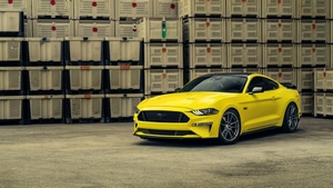 Ford Mustang, Ford, Cars, Muscle Cars, 2023 Cars, 4K wallpaper