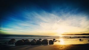 Nature, Morning, 4K wallpaper