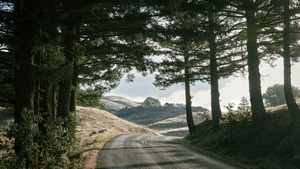 Road, Trees, Mountains, Nature, 4K wallpaper