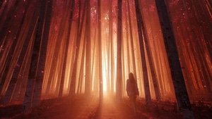 Forest, Artist, Artwork, Digital Art, Artstation, 4K wallpaper
