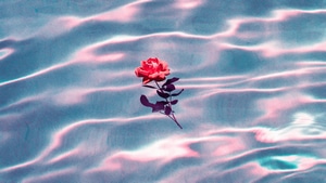 Love, Rose, Artist, Artwork, Digital Art, 4K wallpaper