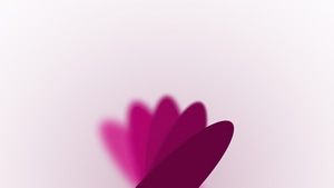 Flowers, Blur, 4K wallpaper