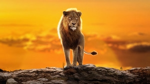 The Lion King, 2022 Movies, Movies, Behance, 4K wallpaper