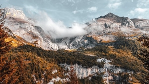 Mountains, Forest, Nature, 4K wallpaper