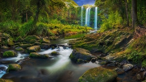 Waterfall, Forest, Nature, 4K wallpaper