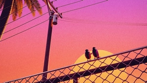 Birds, Artist, Artwork, Digital Art, 4K wallpaper
