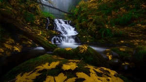 River, Nature, 4K wallpaper
