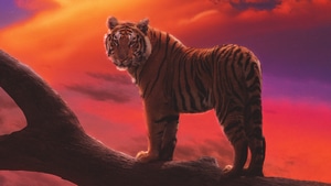 Tiger, Artist, Artwork, Digital Art, 4K wallpaper