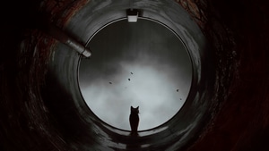 Stray, Games, Ps4 Games, Ps5 Games, Pc Games, 2022 Games, 4K wallpaper